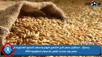 رسميًا.. استقرار سعر الأرز الشعير اليوم وأسعار السلع الغذائية في مصر بعد مبادرة خفض الأسعار الحكومية 2025